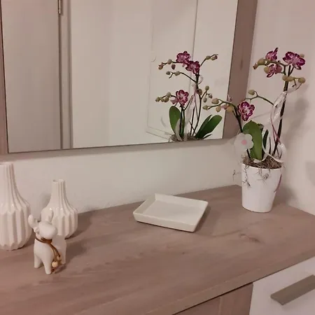 Haus Muehlenbach 公寓 *